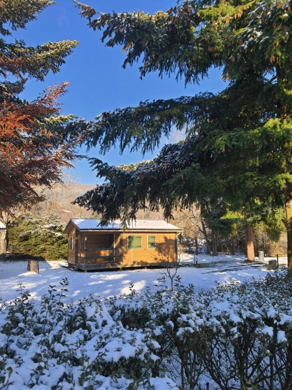 a house in the snow in a yard at Chalet Beau Rivage in Gunsbach