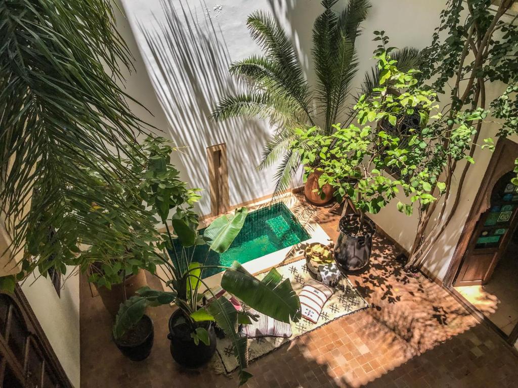 Zahrada ubytování Riad Dar Zaman