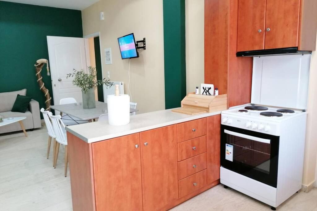 Kuchyňa alebo kuchynka v ubytovaní Olive house - Gargalianoi