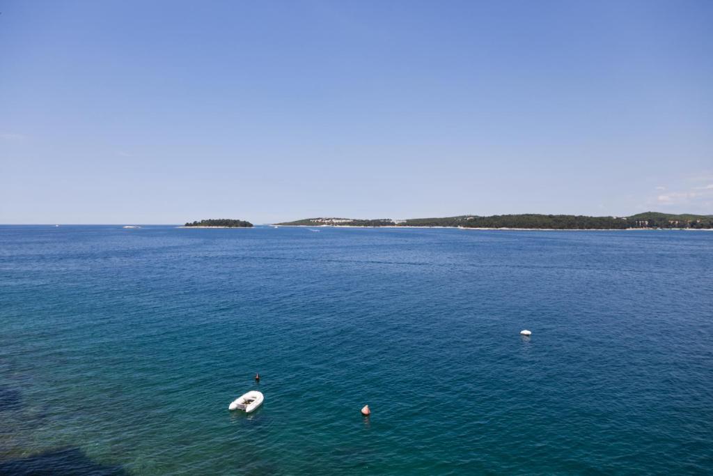 duży zbiornik wody z dwoma łabędzami w obiekcie Apartment Lanterna Veneziana w Rovinj