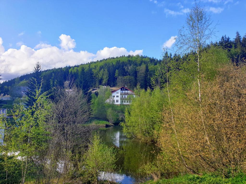 Příroda nedaleko hotelu