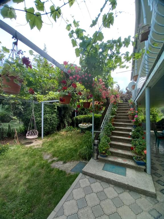 Zahrada ubytování Valiko house in Telavi