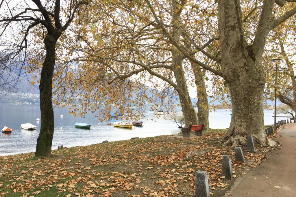 Riva Rooms & Studios - Check-In 24hr - Resim 26