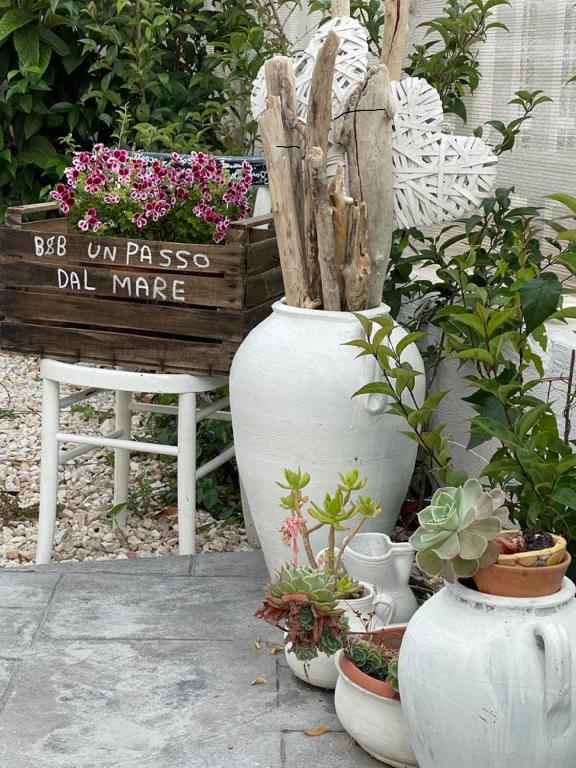 Ogród w obiekcie UN PASSO DAL MARE bed&breakfast San Salvo Marina