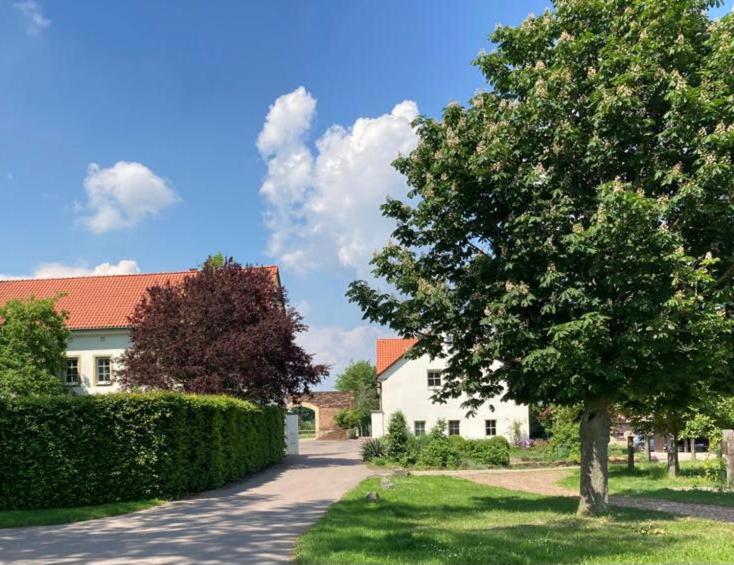 a tree in a yard next to a white house at Ferienwohnung Zweinig02 in Roßwein
