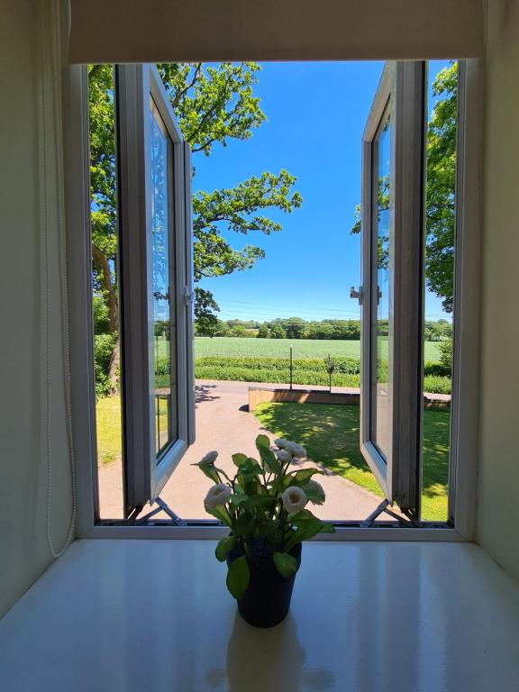 a window with a potted plant sitting on a table at Beautiful Country Apartment, rated Exceptional in Coventry
