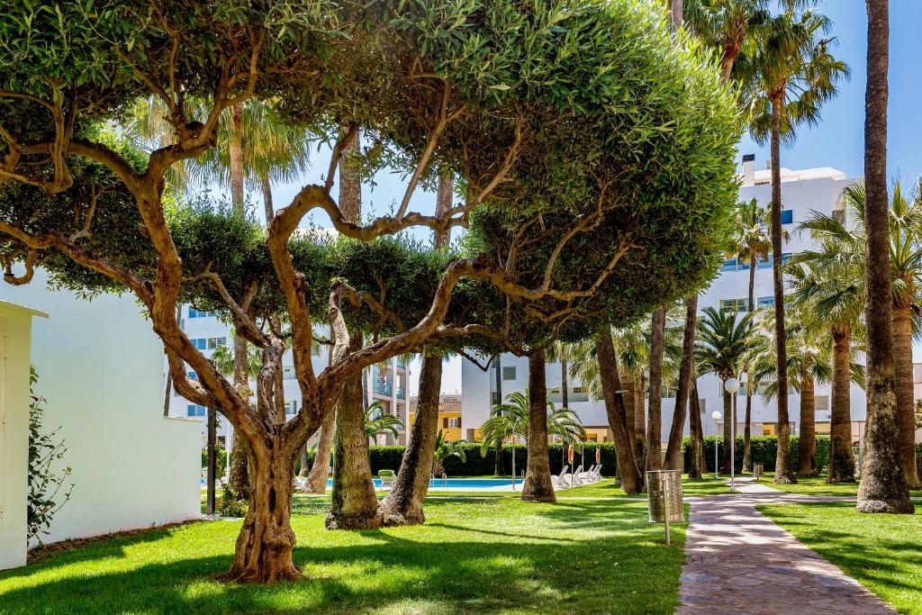 Apartamentos Tamarindos Peñiscola - 6