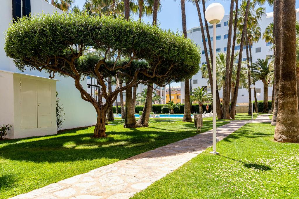 Apartamentos Tamarindos Peñiscola - 11