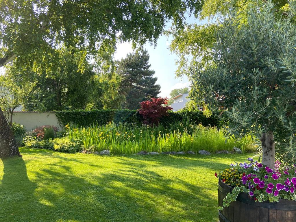 Zahrada ubytování Pension Schmidt