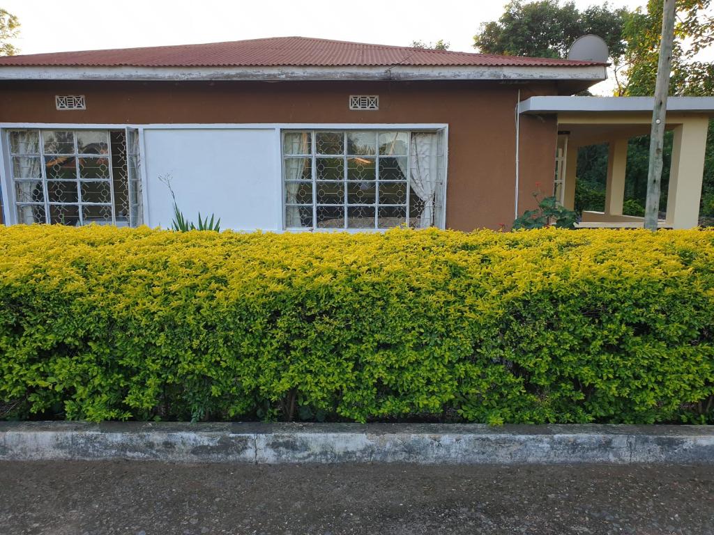 a hedge in front of a house at Captivating 3-Bed House in Moshi Town in Uru