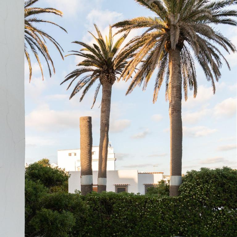 two palm trees in front of a factory at Villa delle Palme in Santa Marinella