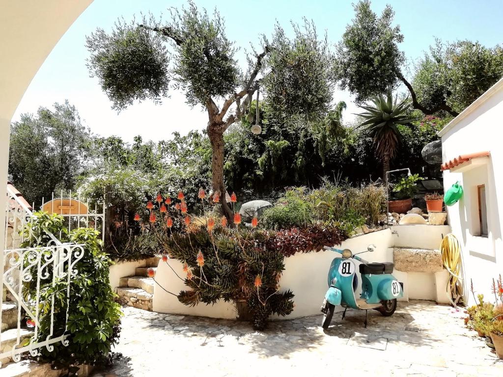 Zahrada ubytování B&B L'Altare Bianco