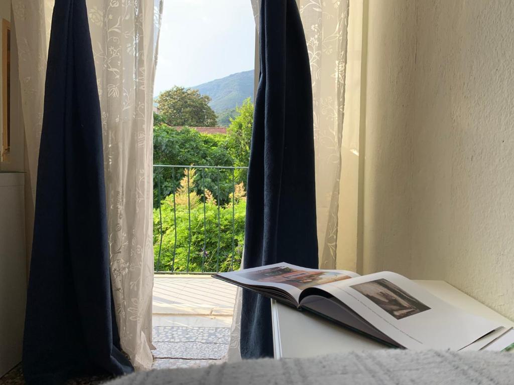 książka siedząca na stole przed oknem w obiekcie Hotel Baia di Levanto w mieście Levanto