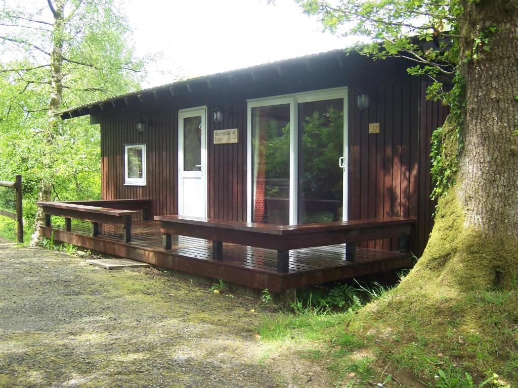 uma pequena cabana de madeira com uma grande árvore em Honeysuckle Lodge set in a Beautiful 24 acre Woodland Holiday Park em Newcastle Emlyn