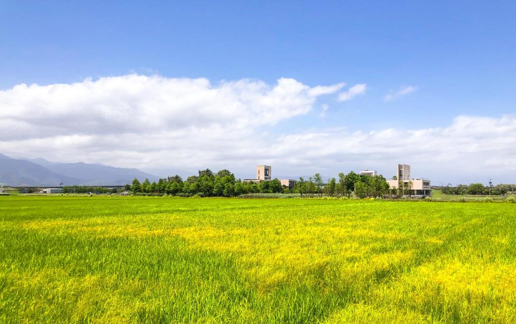 un campo de césped verde con edificios en el fondo en Villa LOHERB en Dongshan