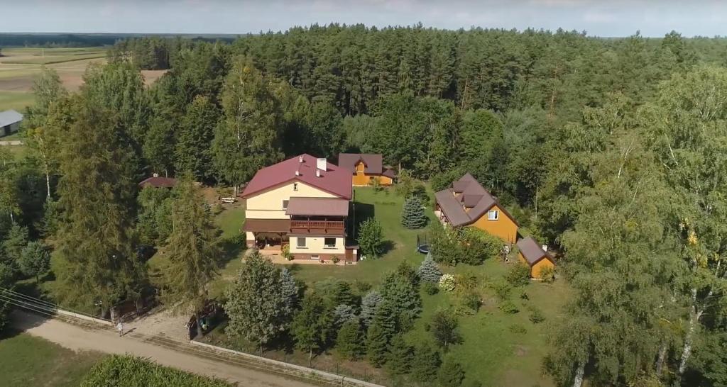 une grande maison au milieu d'une forêt dans l'établissement Leśny Dworek, 