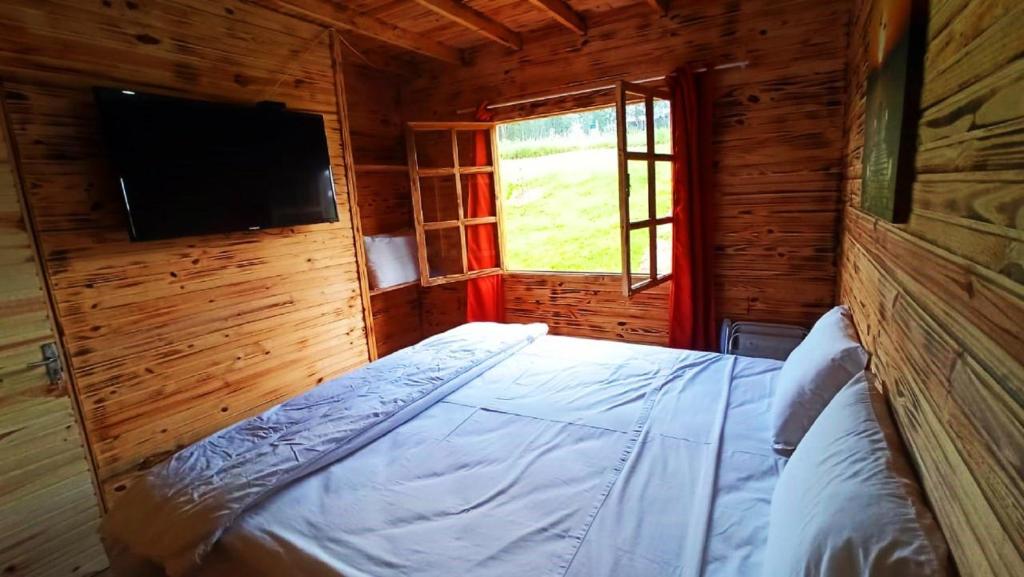 Parque Aquático Thermal Amsterland  Parque Aquático Thermal Amsterland