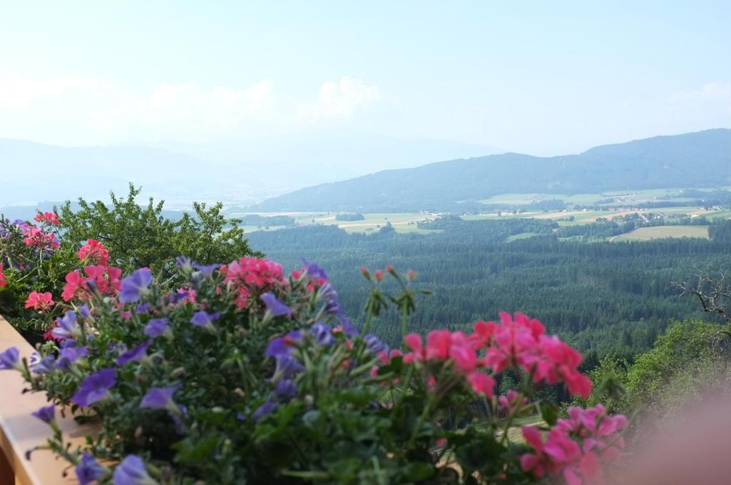 Táj Show holiday homes közelében