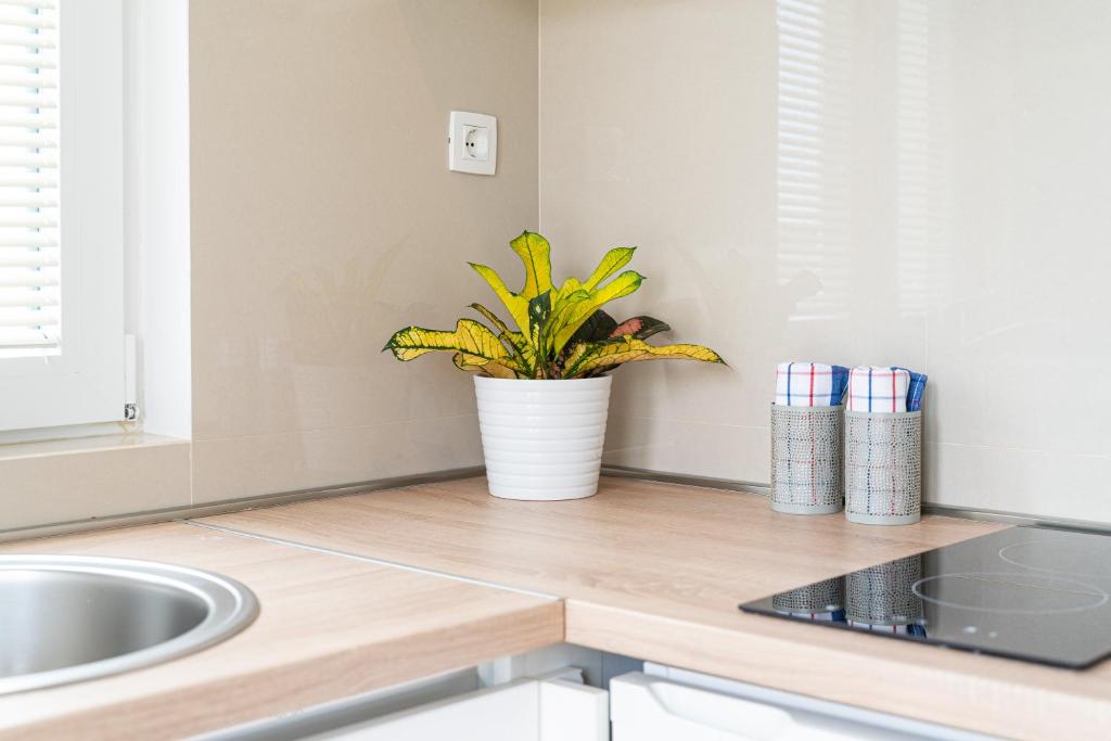 Sun and Sea Apartments - 14