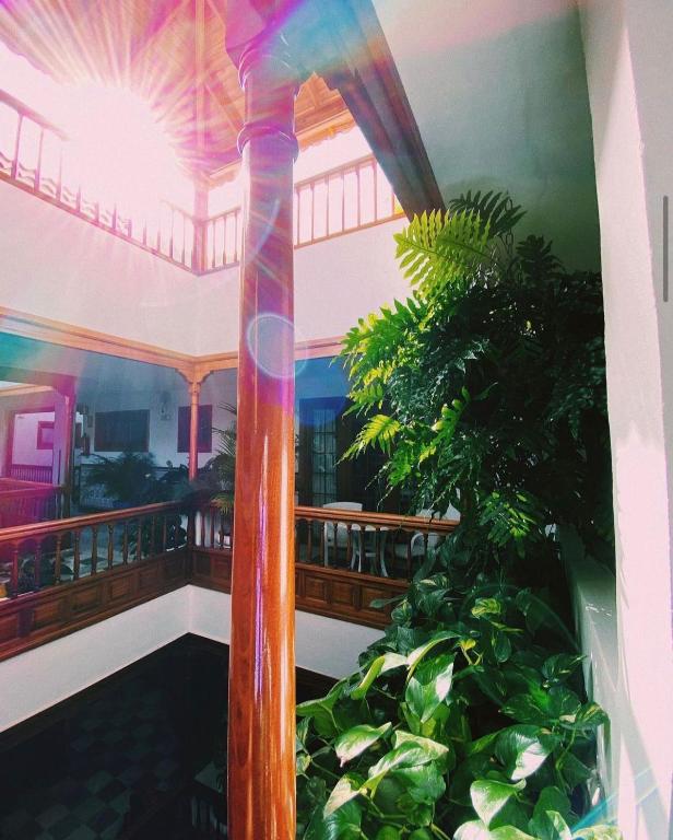 a building with a pole with a plant in it at Apartamentos Tapahuga in Playa de Santiago