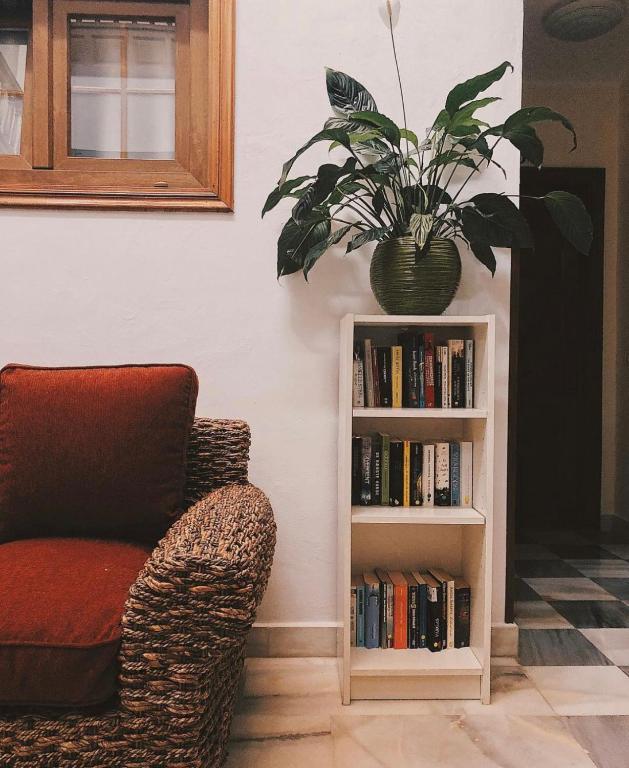 a book shelf with a potted plant next to a chair at Apartamentos Tapahuga in Playa de Santiago