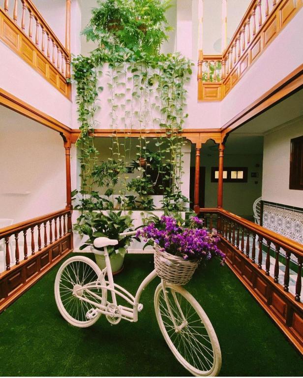 a white bike parked in a room with plants at Apartamentos Tapahuga in Playa de Santiago