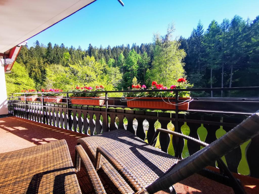 Hotel Langenwaldsee - 15