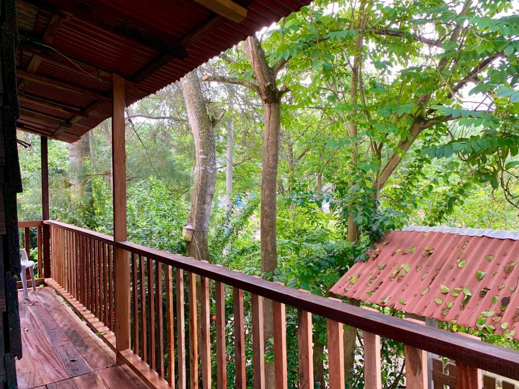 een houten terras met uitzicht op een bos bij La posada de Mary in Montañita