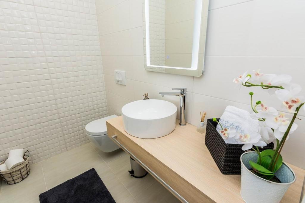 Kúpeľňa v ubytovaní Holiday Home in Ždrelac with Seaview, Terrace, Air condition, WIFI (4652-1)