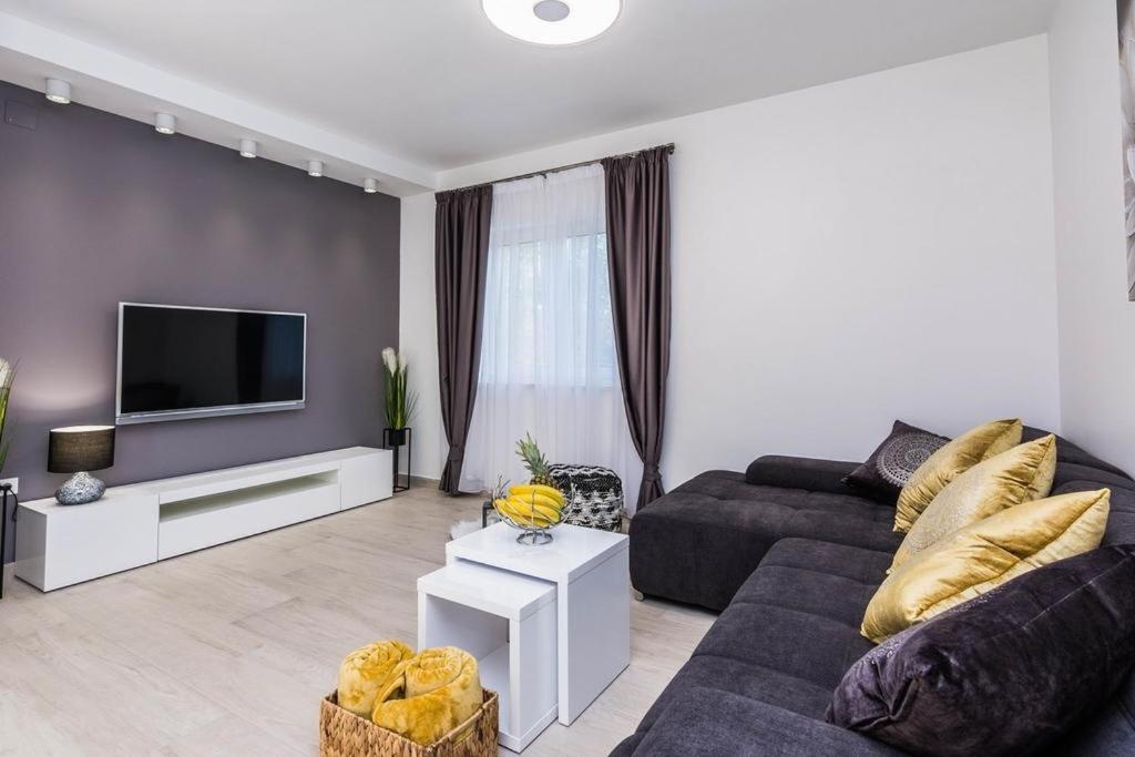 Televízia a/alebo spoločenská miestnosť v ubytovaní Holiday Home in Ždrelac with Seaview, Terrace, Air condition, WIFI (4652-1)