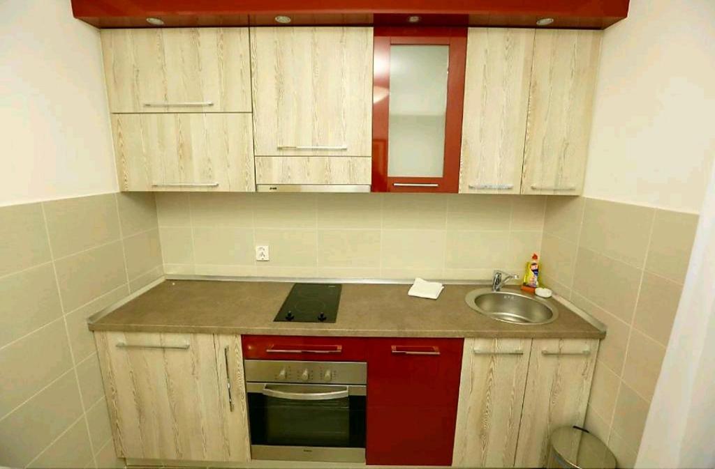Kuchyň nebo kuchyňský kout v ubytování RoyalWings apartman Jagodina