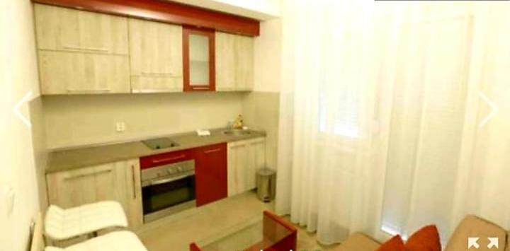 Kuchyň nebo kuchyňský kout v ubytování RoyalWings apartman Jagodina