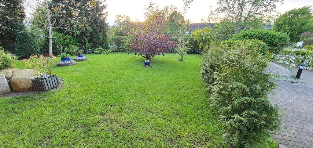 Giardino di MOIN, MOIN & AHOI!