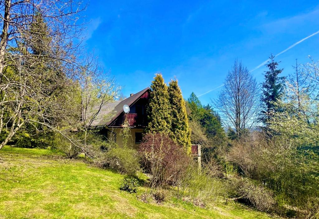 ein Haus an der Seite eines Hügels mit Bäumen in der Unterkunft Dom na Jeżynowym Wzgórzu - Blackberry Hill Cottage in Radziechowy