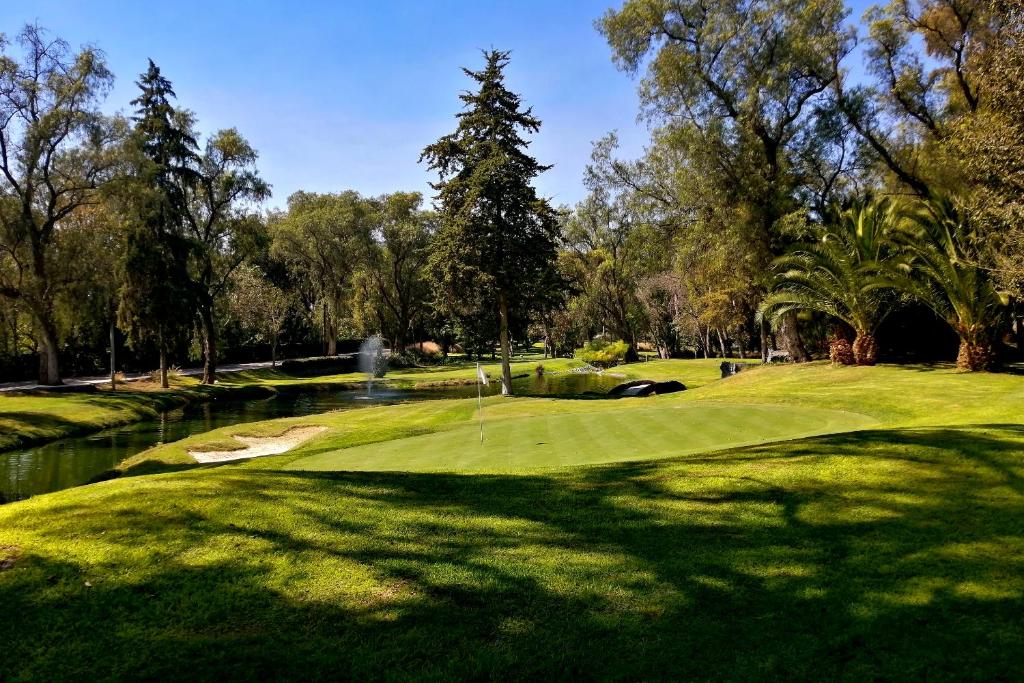 Golf v aparthotelu nebo okolí