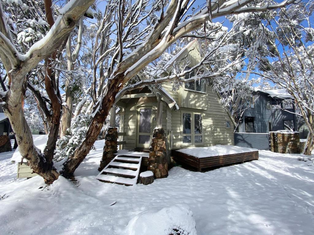 ein Haus im Schnee mit einem Bett und einem Baum in der Unterkunft Jagungal in Dinner Plain