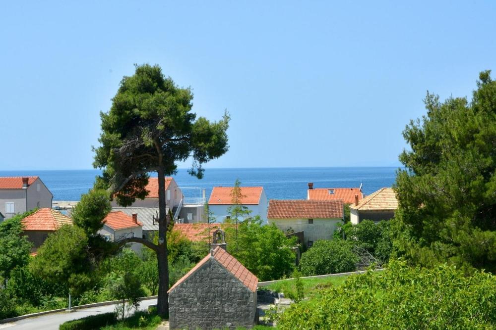 una ciudad con casas y el océano en el fondo en Apartment with sea view 3558-3 en Žuljana