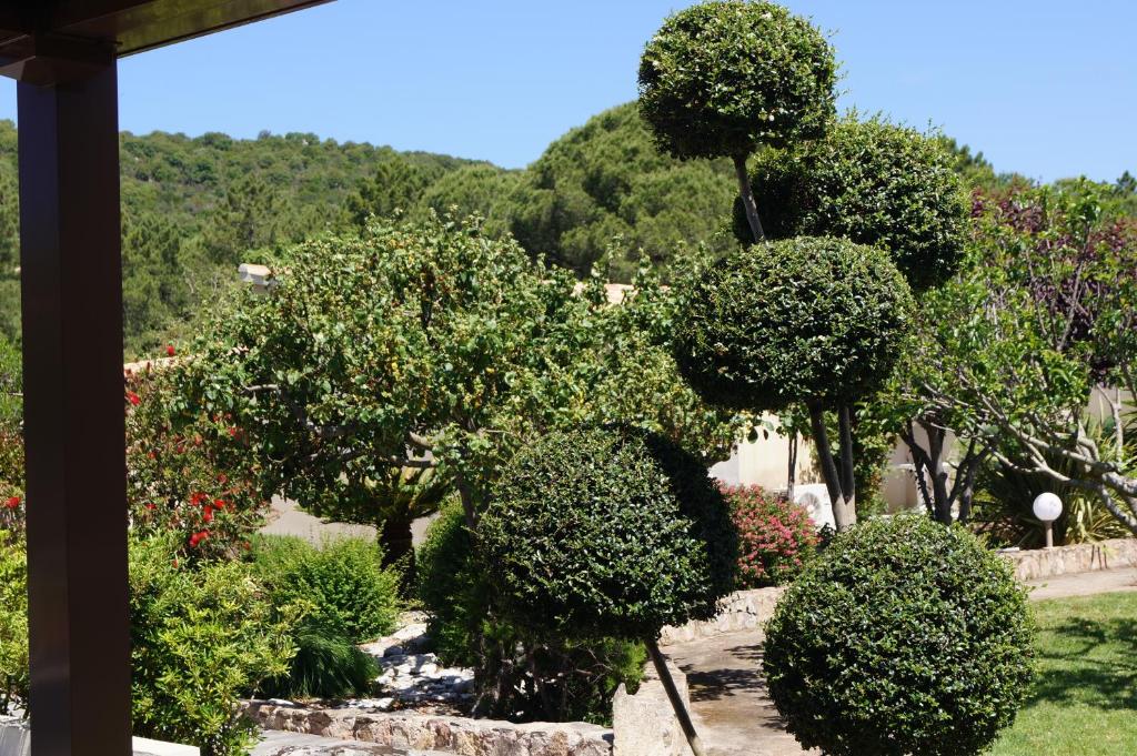 a garden with bushes and trees in a yard at Les Jardins De Santa Giulia - Charmante chambre d'hôte in Porto-Vecchio