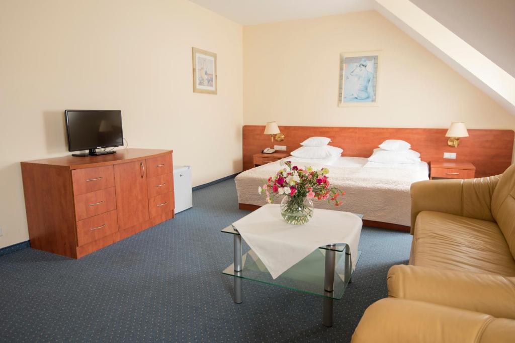 TV a/nebo společenská místnost v ubytování Hotel Daria