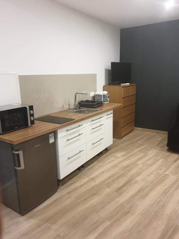 La cuisine est équipée d'un four micro-ondes et d'un réfrigérateur. dans l'établissement Studio contemporain proche de toutes les plages, à Villeneuve-lès-Maguelone