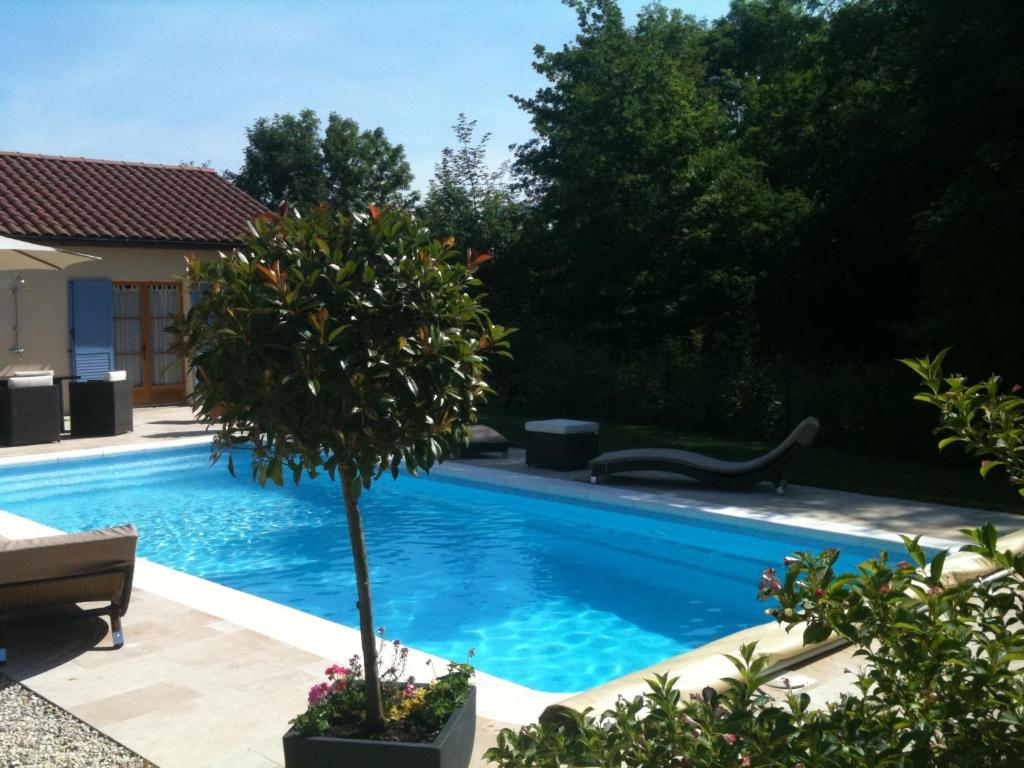 a swimming pool with a tree in a yard at Logis Hotel La Grange Du Relais in Colombey-les-deux-Églises