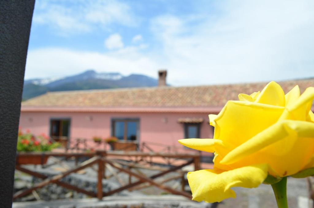uma flor amarela em frente a uma casa em Feudo Magazzeni Etna em SantʼAlfio