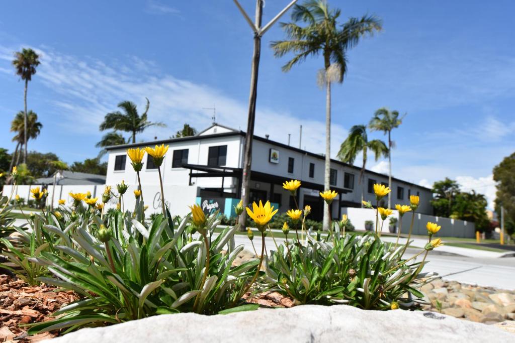 un jardín de flores amarillas frente a una casa en Ballina Homestead Motel, en Ballina