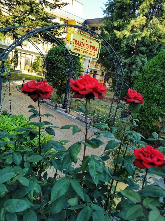 Әзірбайжан тілінде секс