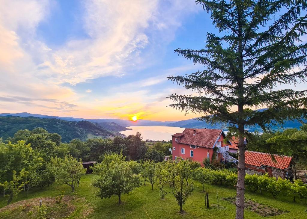 Příroda nedaleko apartmánu