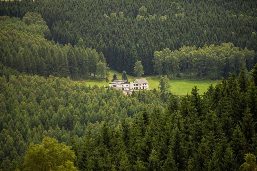 dom w środku lasu drzew w obiekcie Brandthausen - Ferienwohnungen Familie Brandt w mieście Heidersdorf