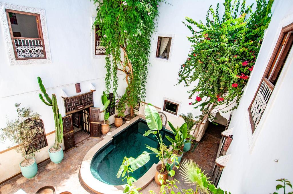 an indoor garden with a swimming pool and plants at Hotel & Spa Riad Dar El Aila in Marrakech