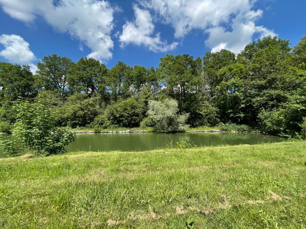 a pond in the middle of a grass field at Camping la Nouvelle Aventure in Audincthum