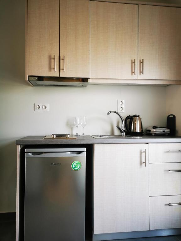 A kitchen or kitchenette at Anemona Beach apartments