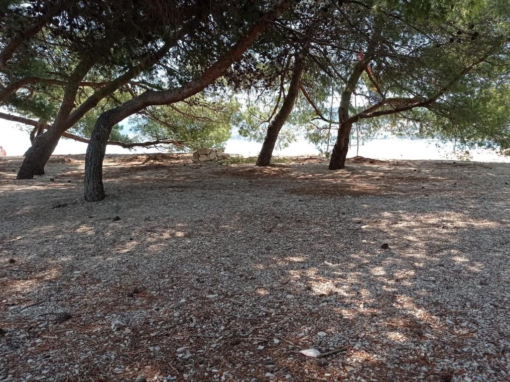 Apartmani Barišić - 10